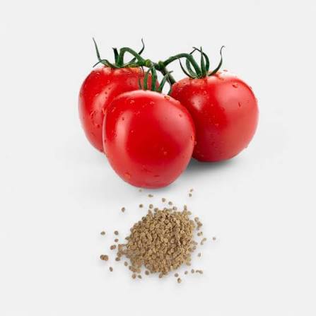 Cherry Tomato Seed Kit